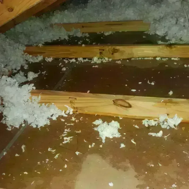 Attic Water Damage in Camilla, GA