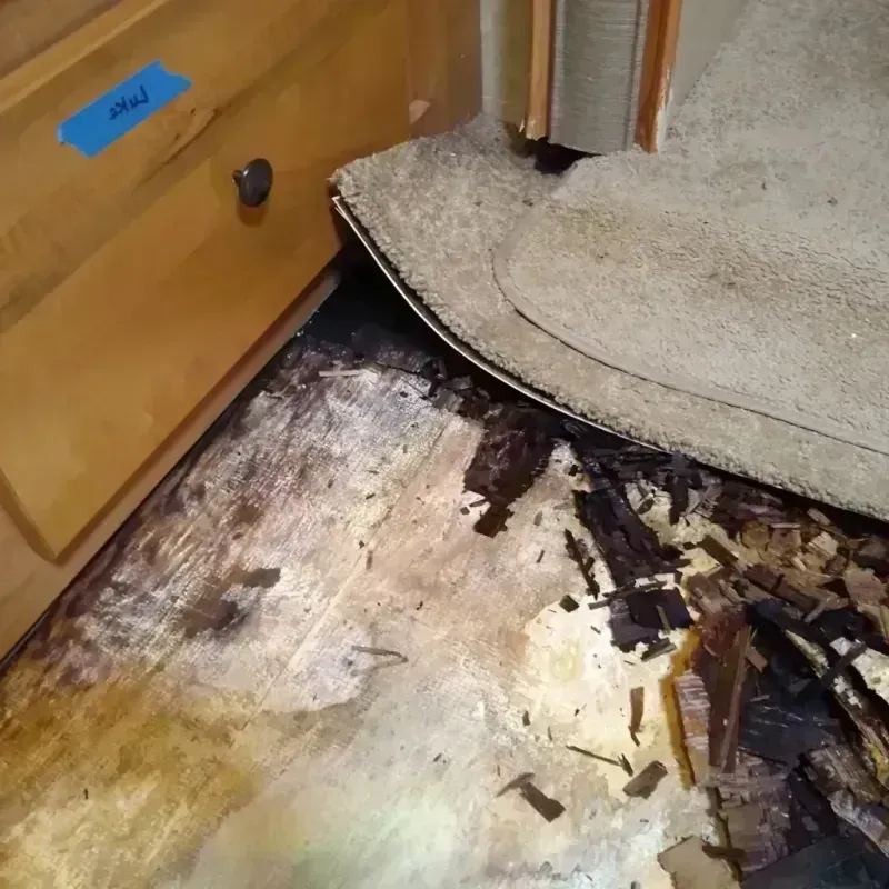 Wood Floor Water Damage in Camilla, GA